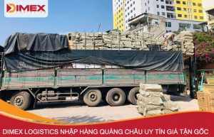 Dimex Logistics nhập hàng Quảng Châu tận gốc