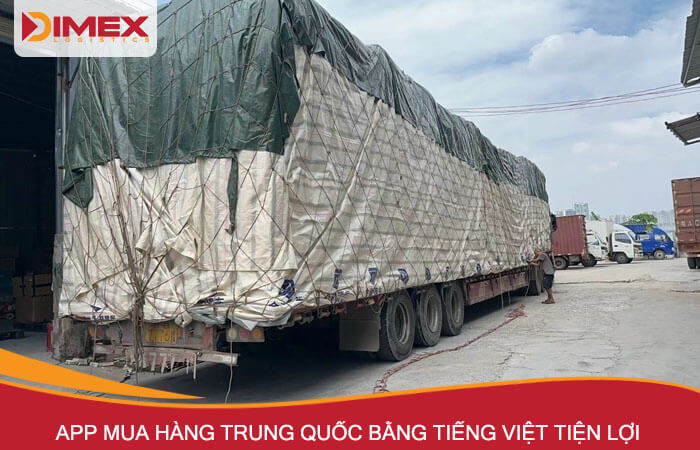 App mua hàng Trung Quốc bằng tiếng Việt Dimex Logistics